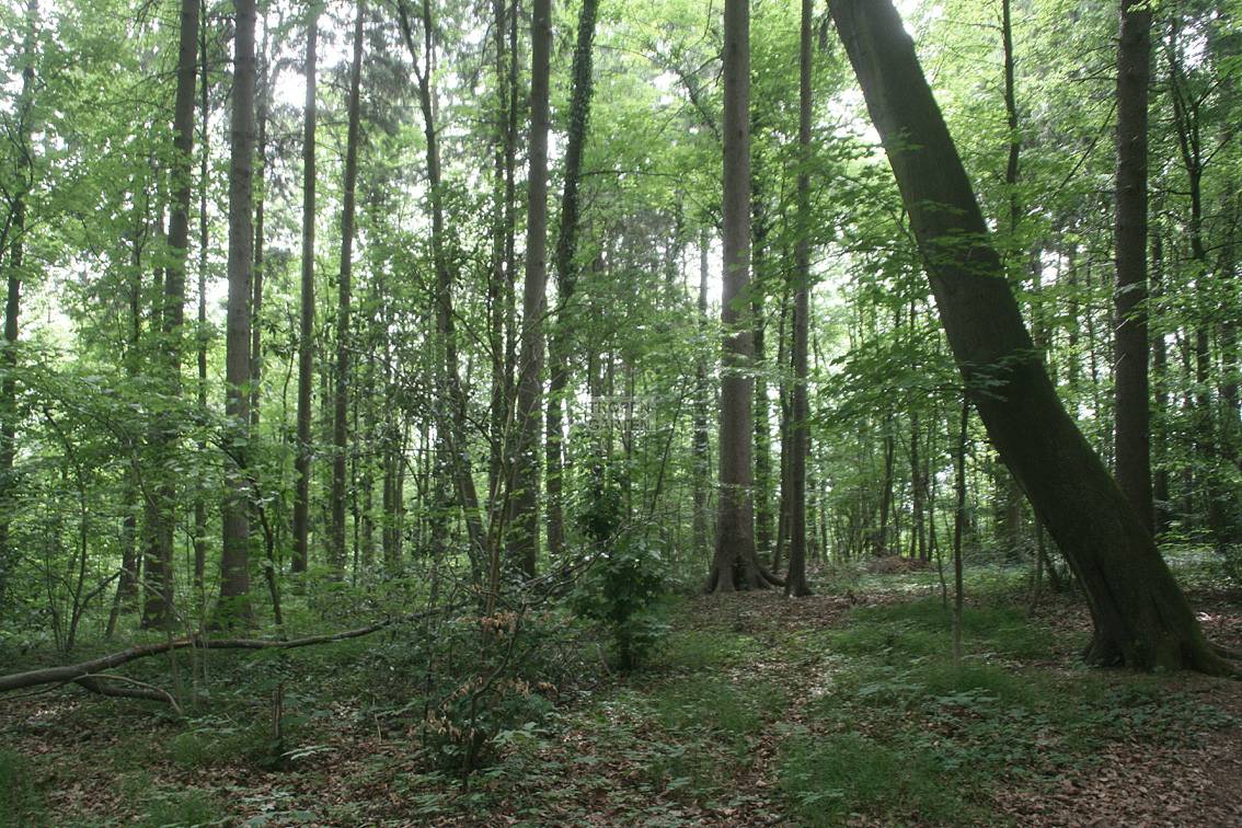 Strunde Tal Herrenhausen